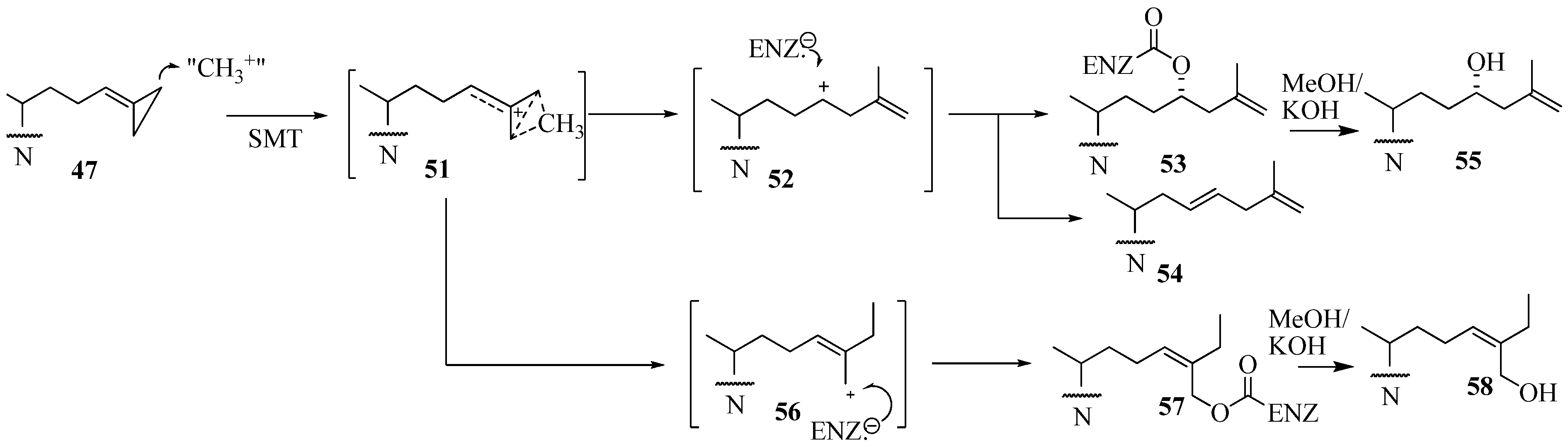 Molecules 14 04690 g009