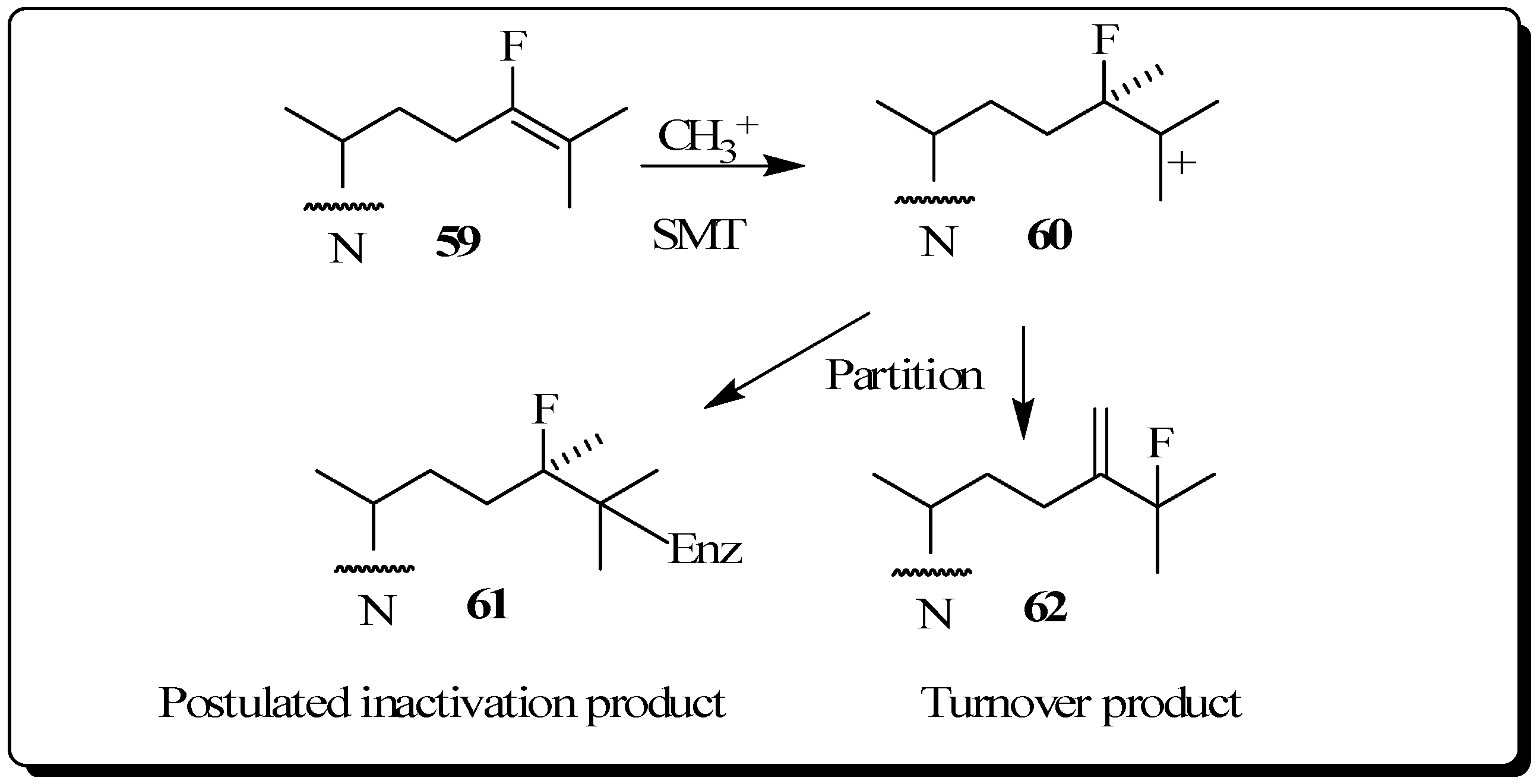 Molecules 14 04690 g010