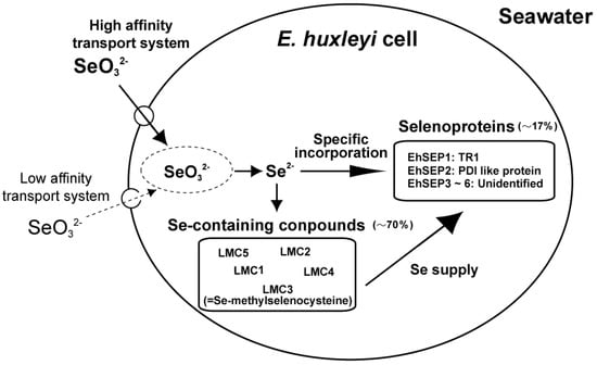 Molecules 14 04880 g001 550