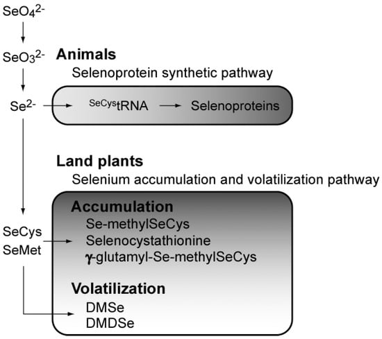 Molecules 14 04880 g002 550