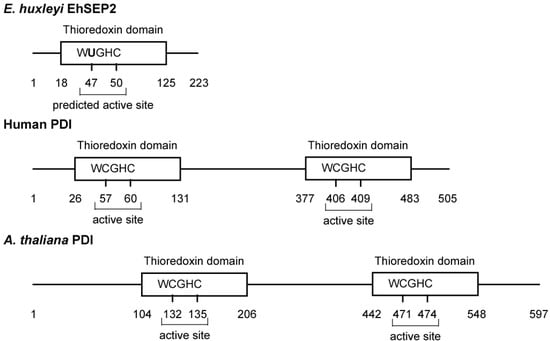 Molecules 14 04880 g003 550