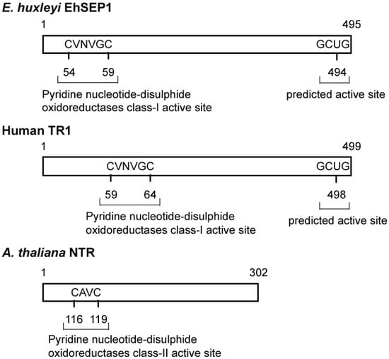 Molecules 14 04880 g004 550