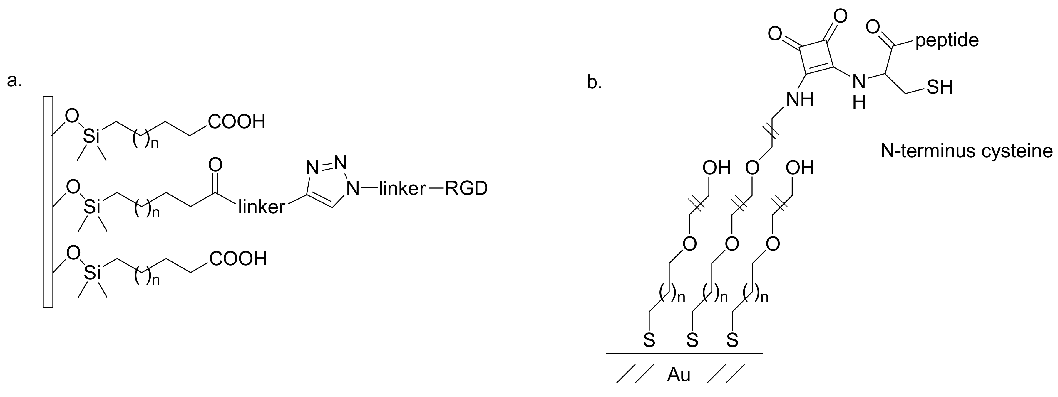 Molecules 15 00178 g007