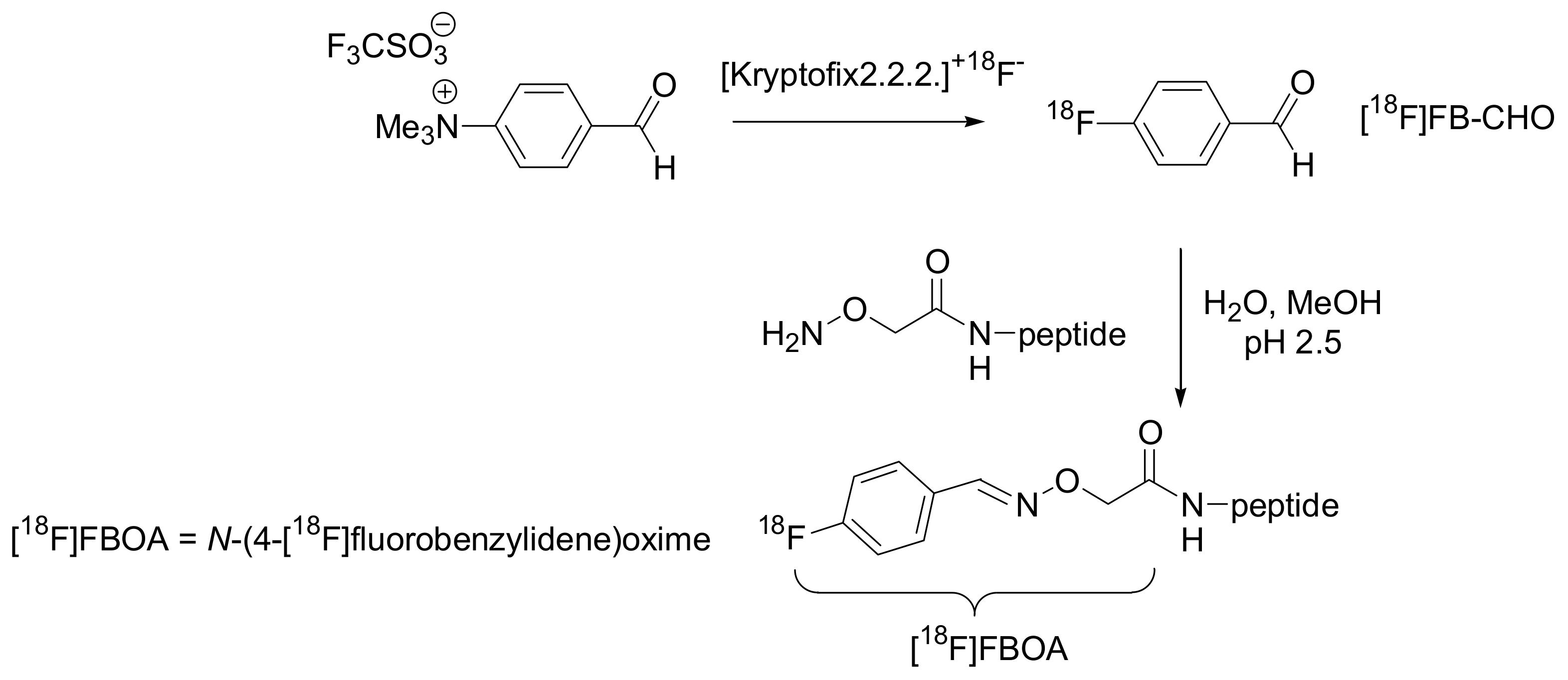 Molecules 15 00178 sch003