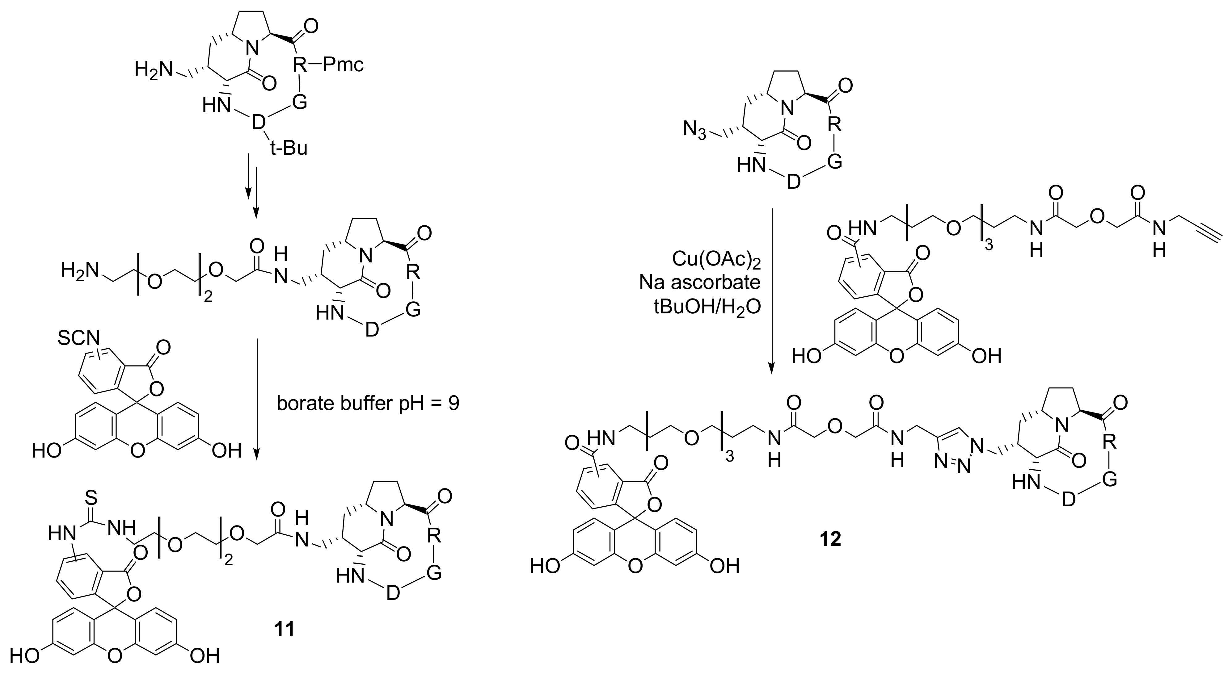 Molecules 15 00178 sch009