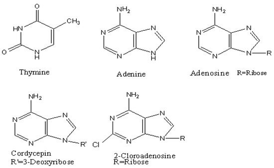 Molecules 15 00305 g004 550