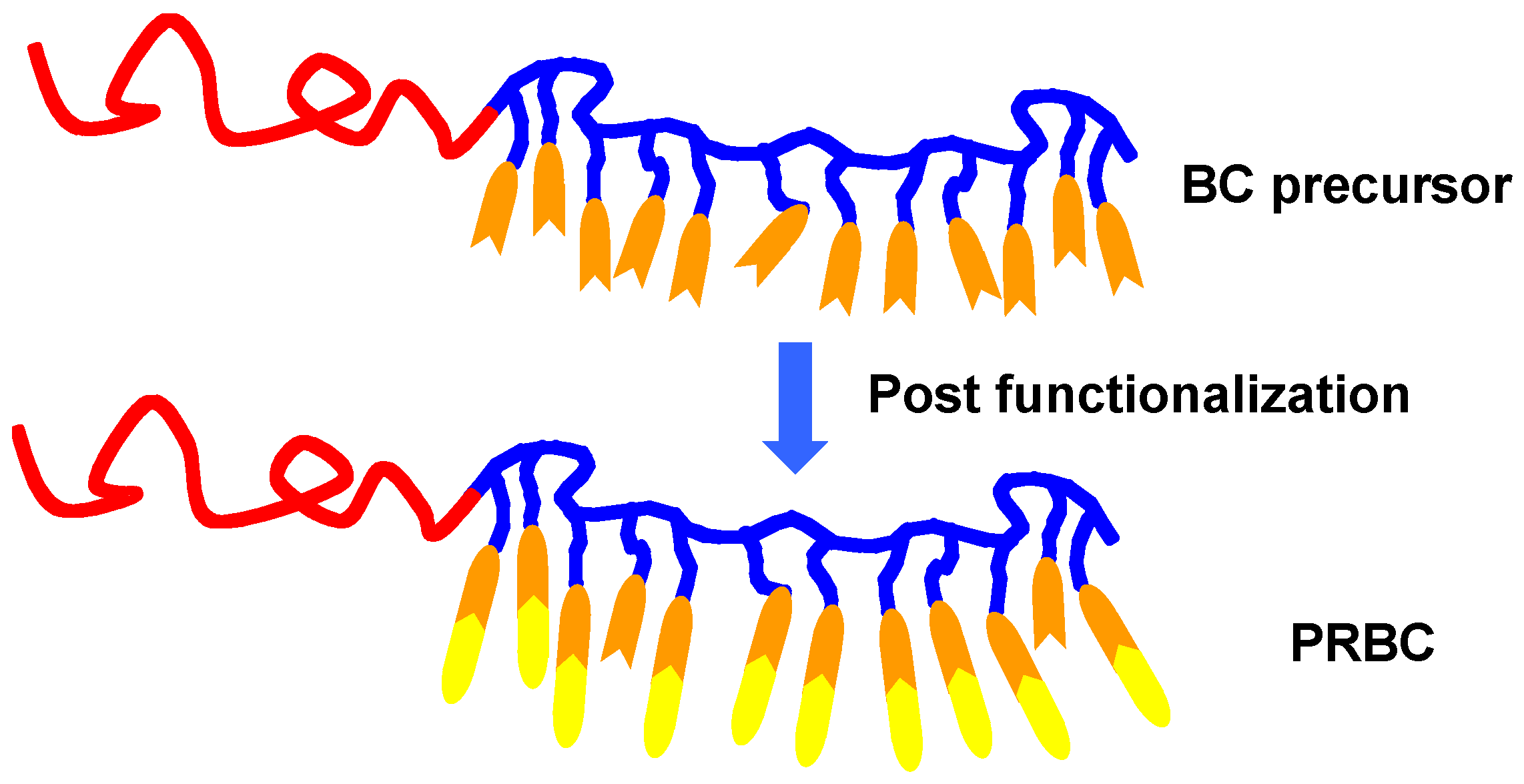 Molecules 15 00570 g004