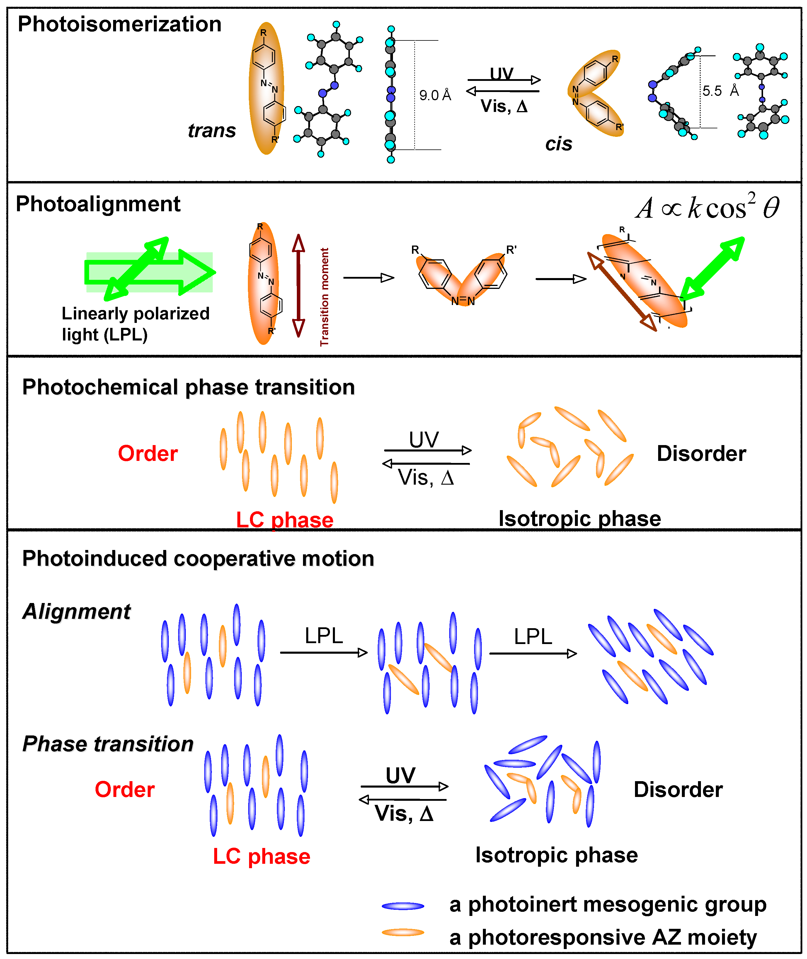 Molecules 15 00570 g006