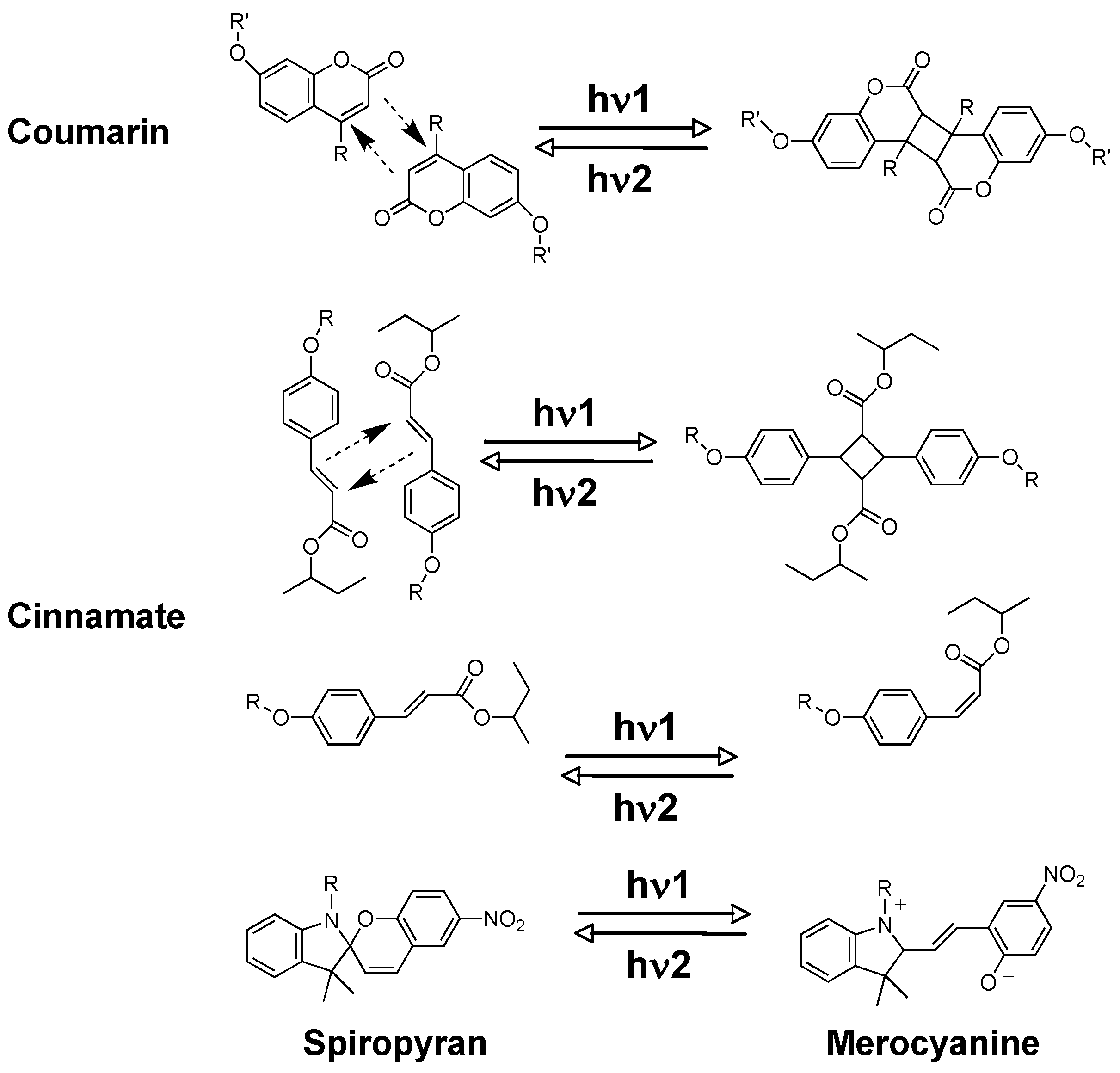 Molecules 15 00570 g007