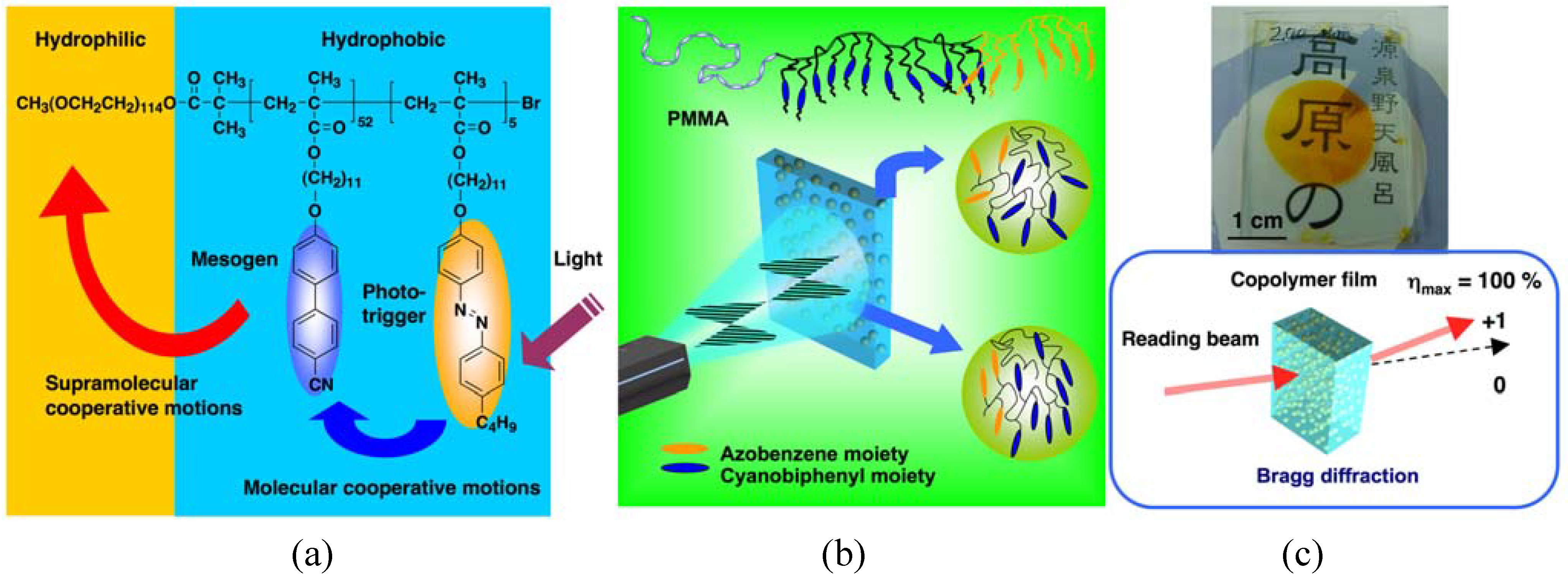 Molecules 15 00570 g008