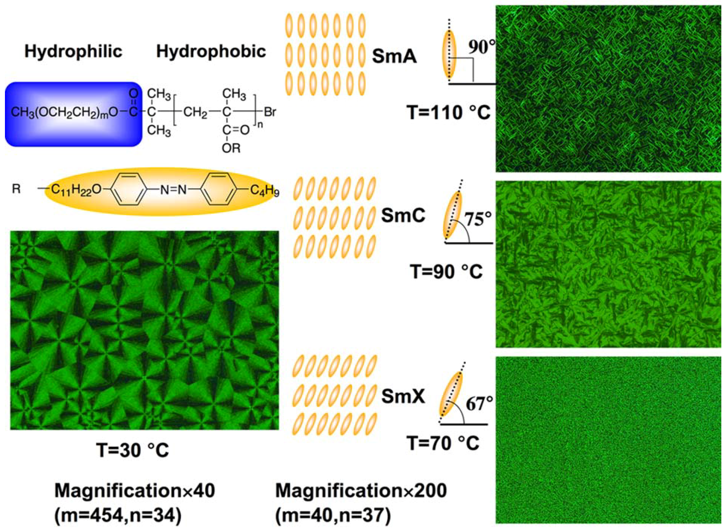 Molecules 15 00570 g009
