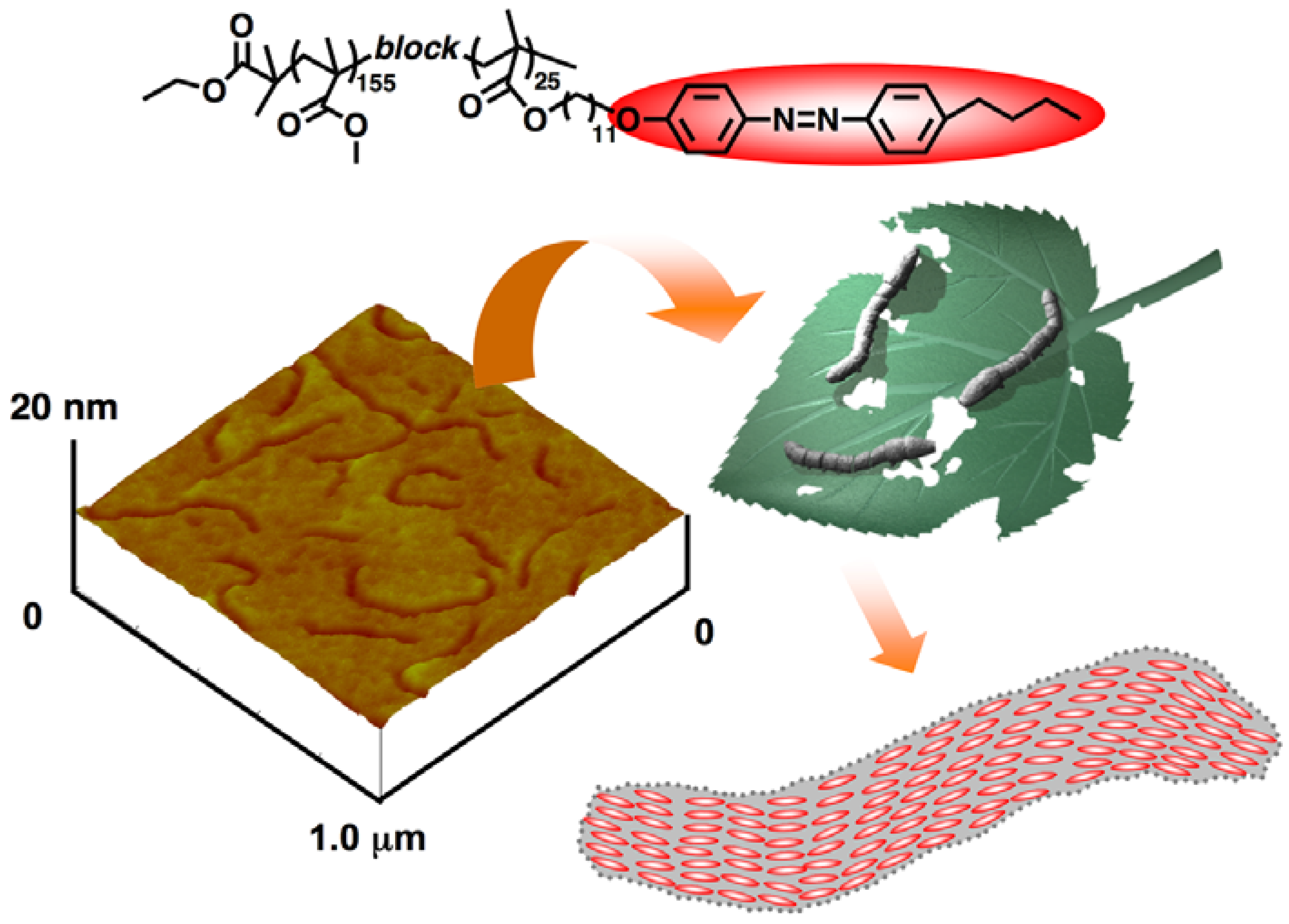 Molecules 15 00570 g010