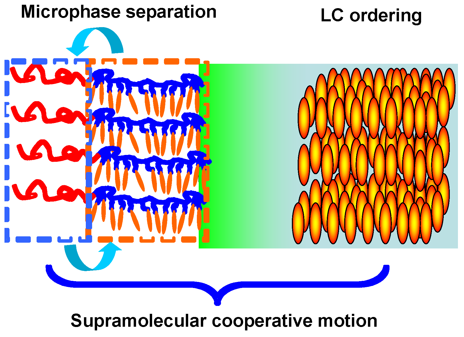 Molecules 15 00570 g012
