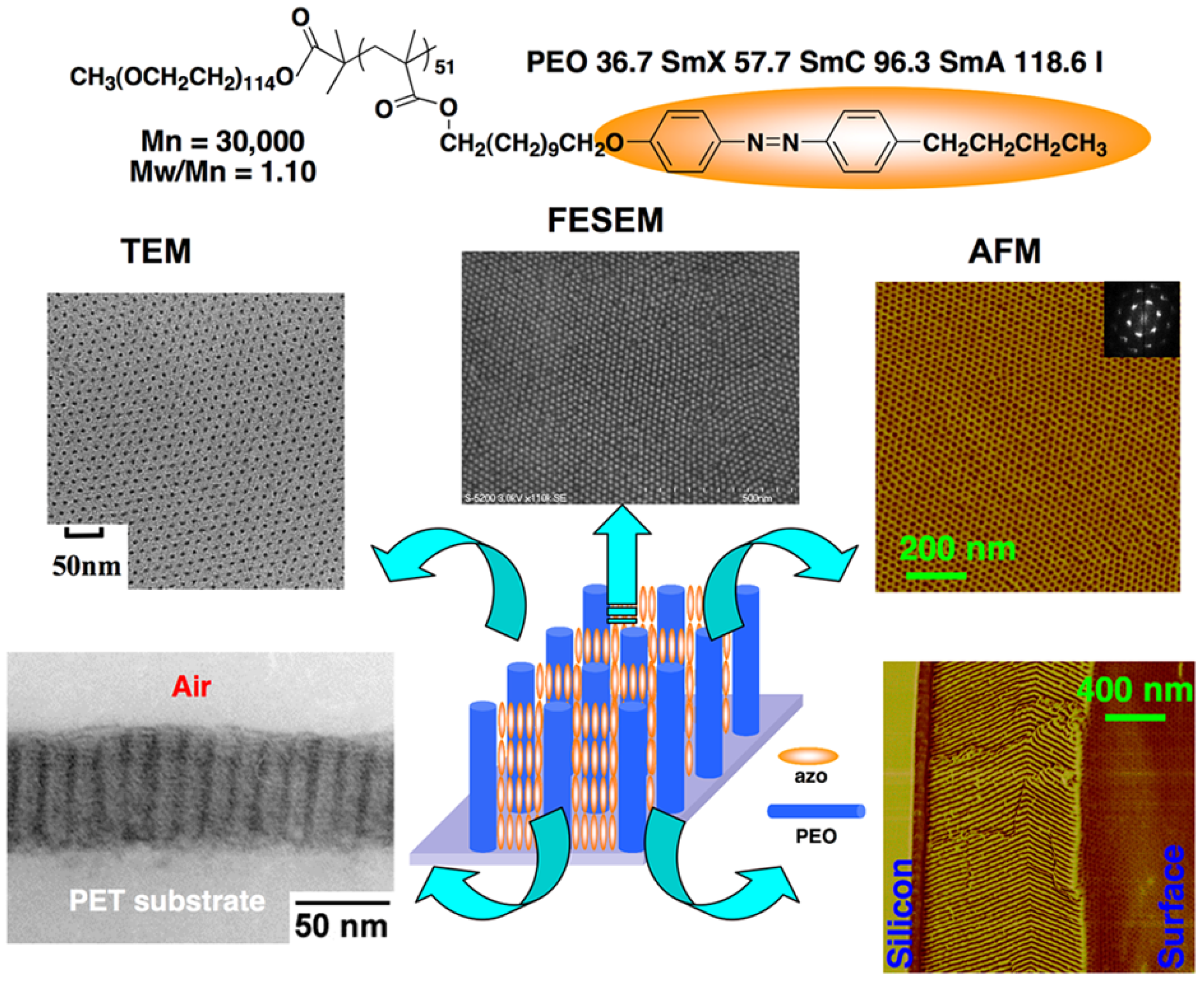 Molecules 15 00570 g013