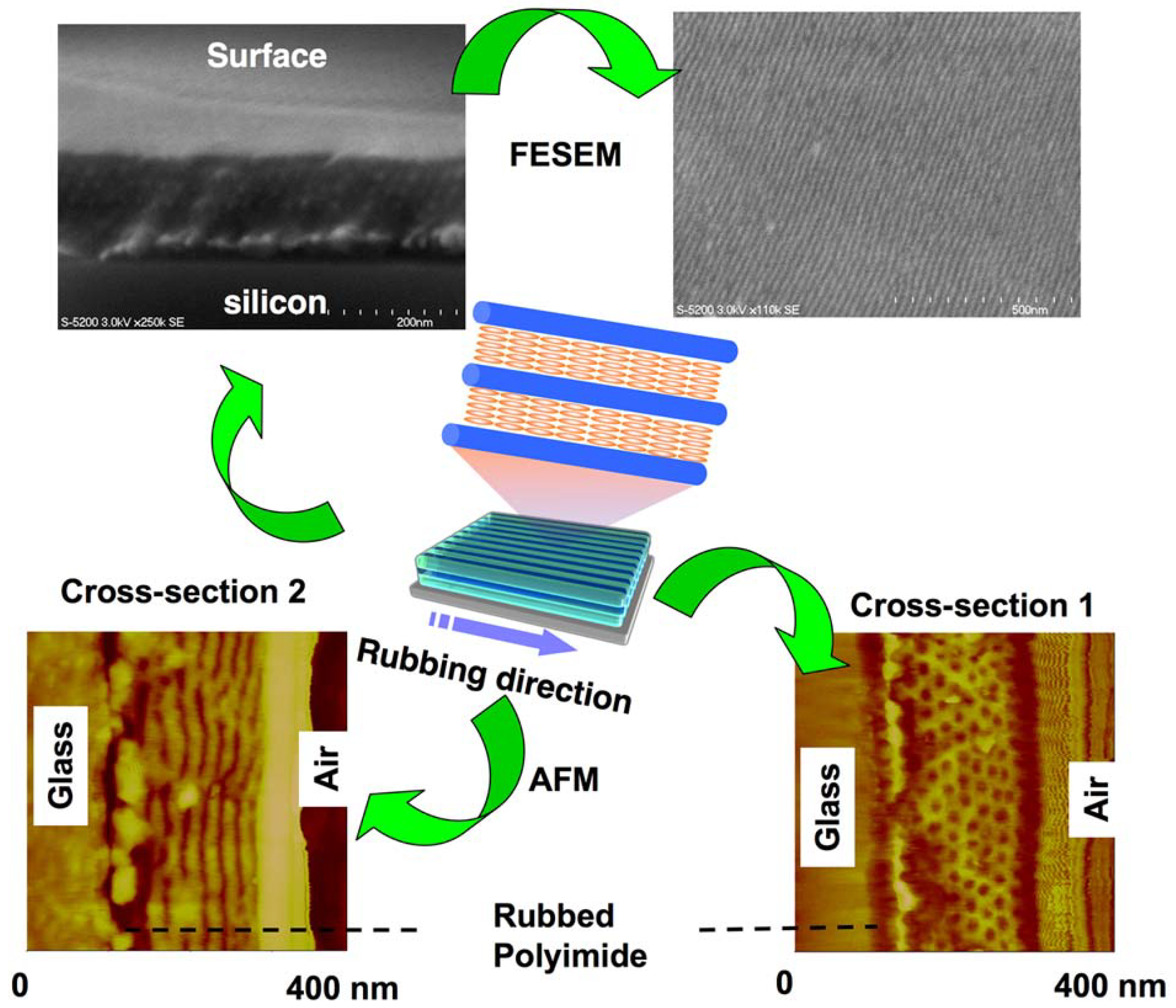 Molecules 15 00570 g014