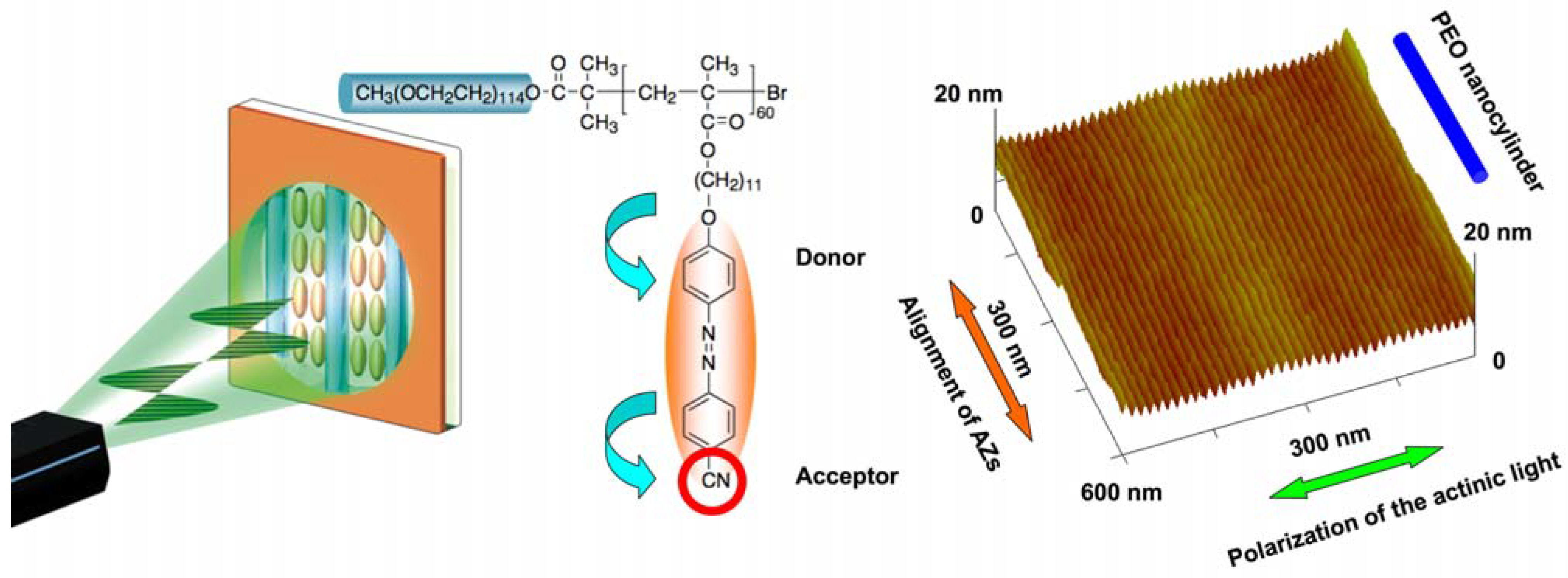 Molecules 15 00570 g015