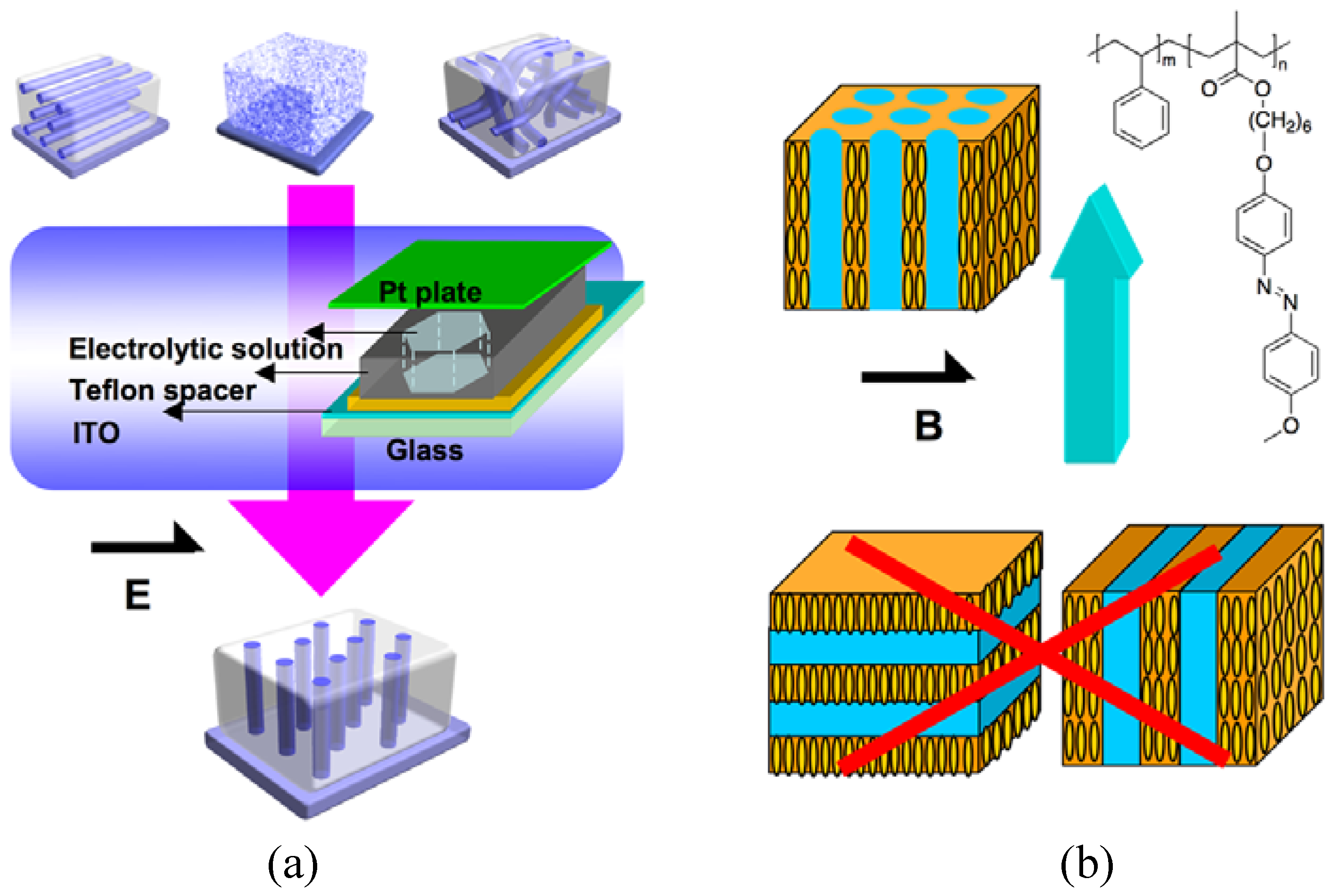 Molecules 15 00570 g016