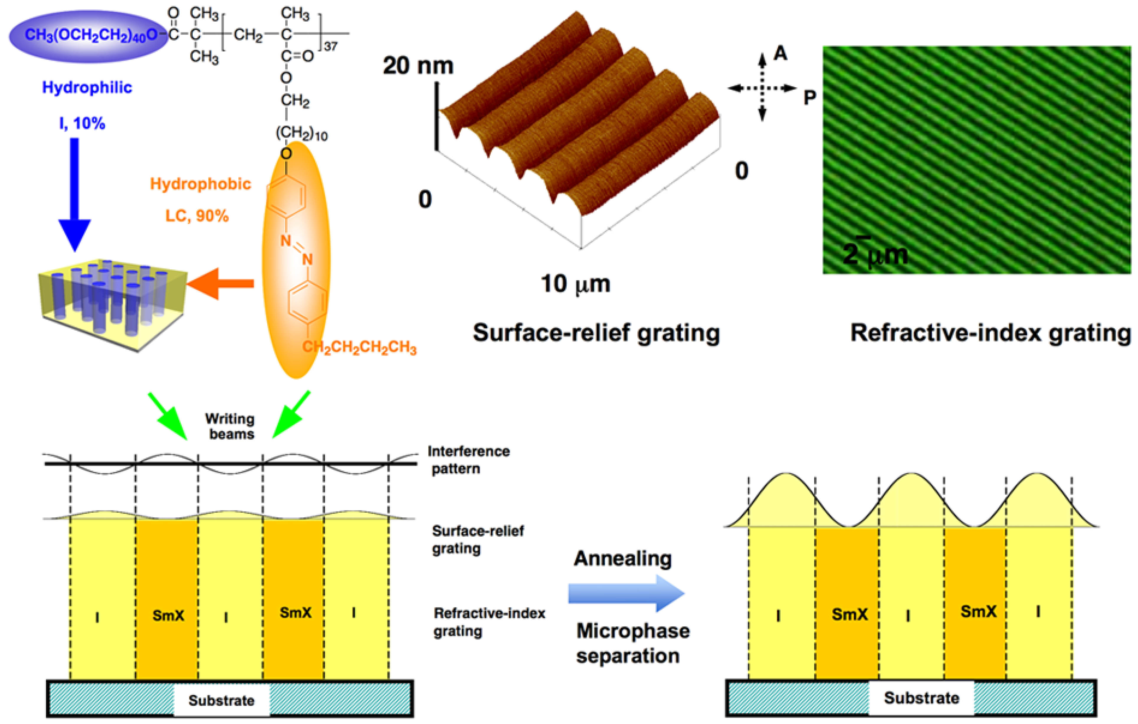 Molecules 15 00570 g017
