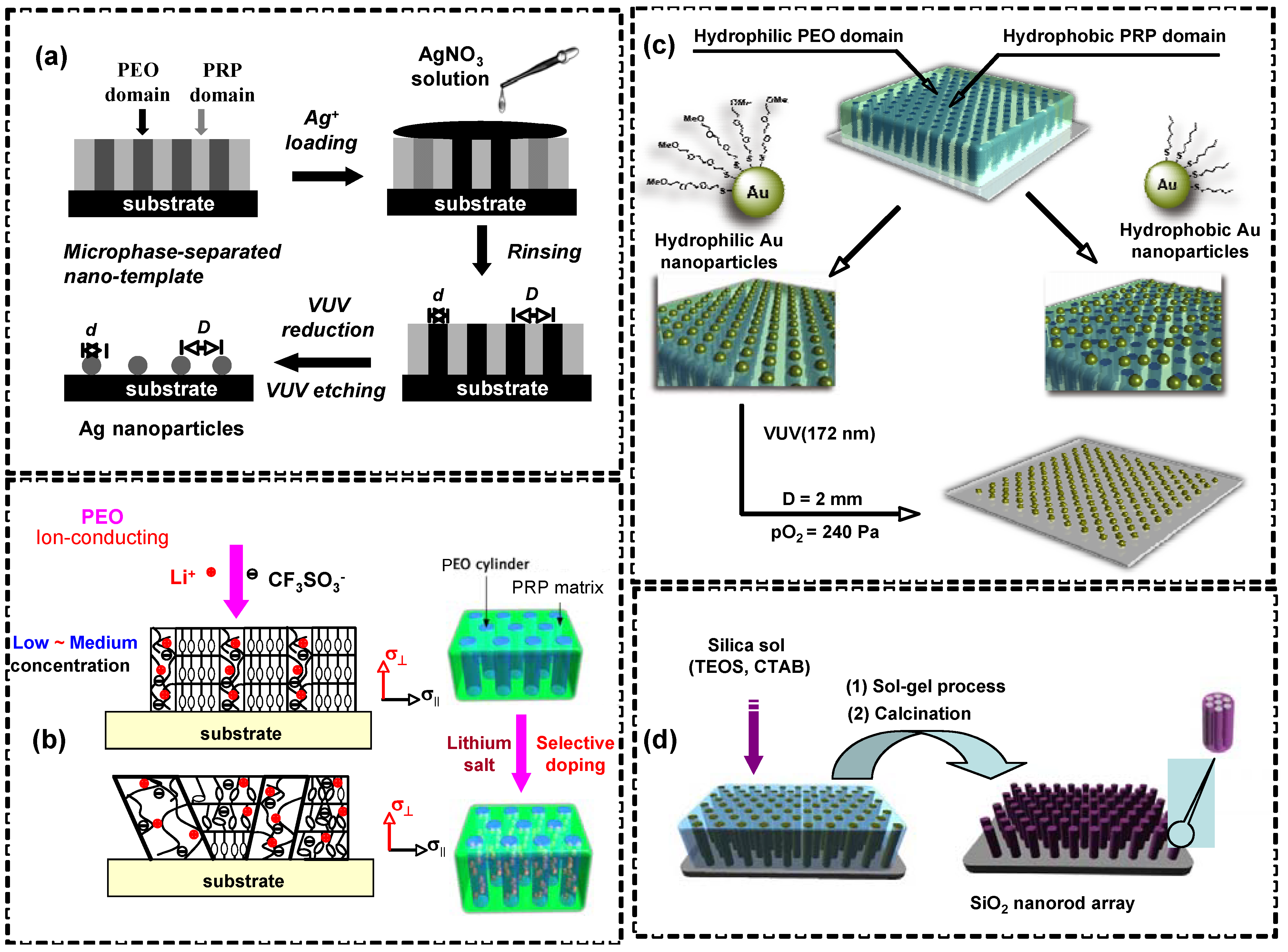 Molecules 15 00570 g021