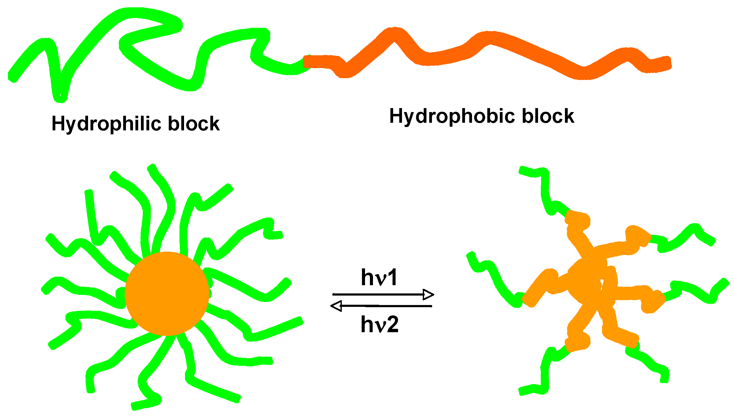 Molecules 15 00570 g022