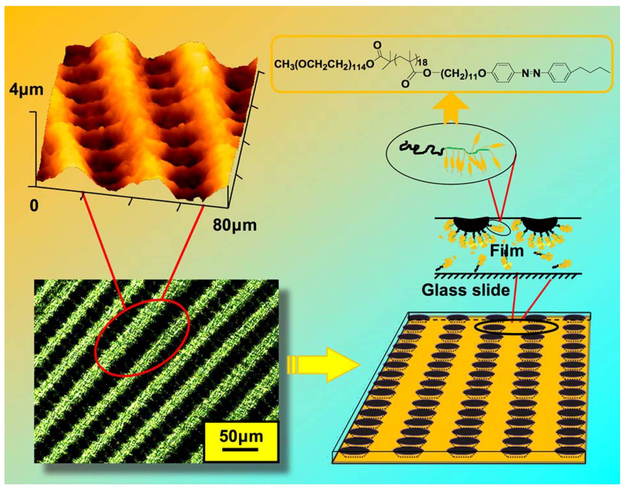 Molecules 15 00570 g023