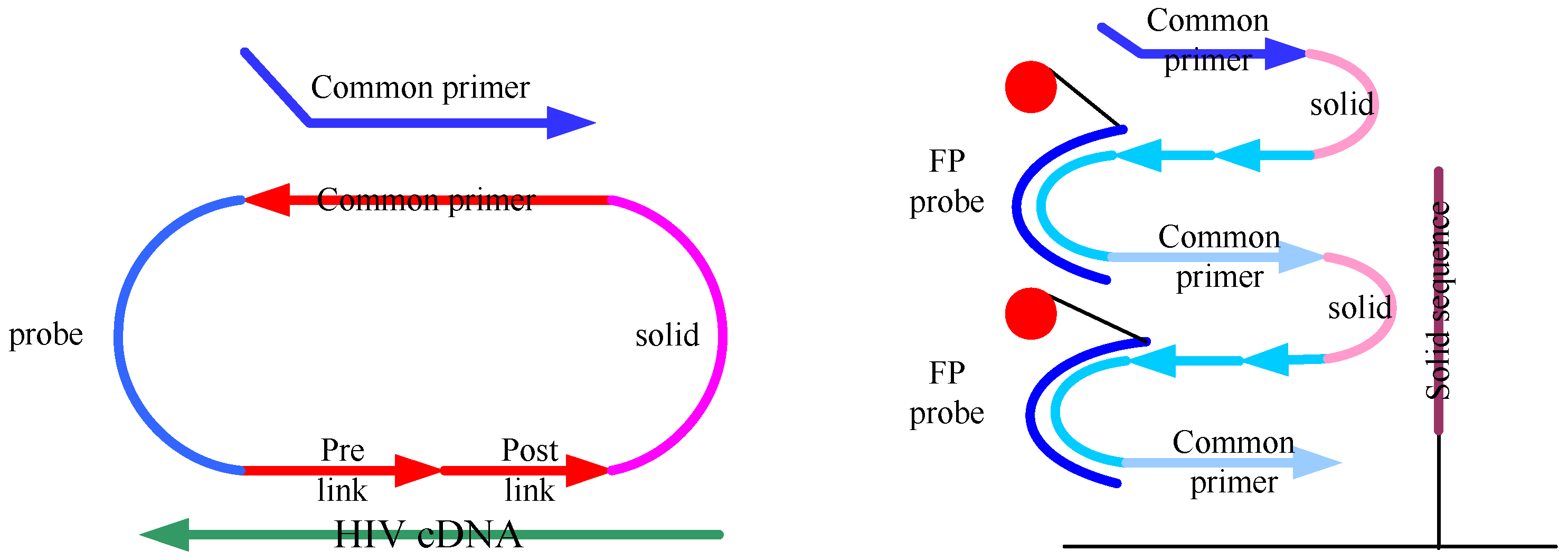 Molecules 15 00619 g001