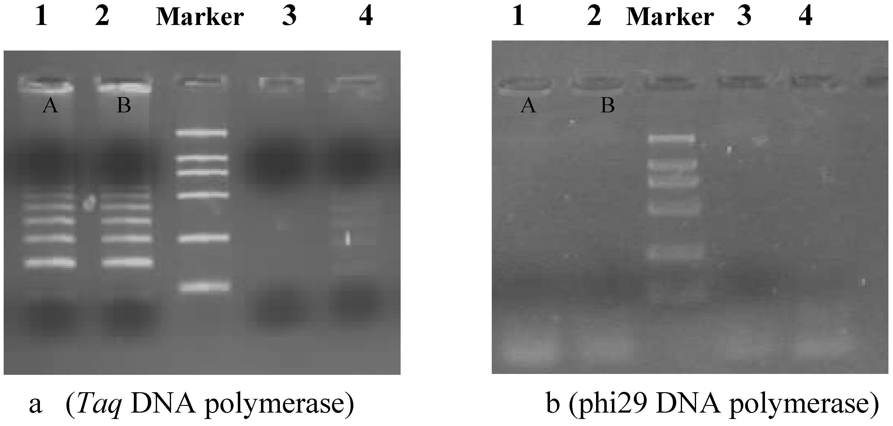 Molecules 15 00619 g002