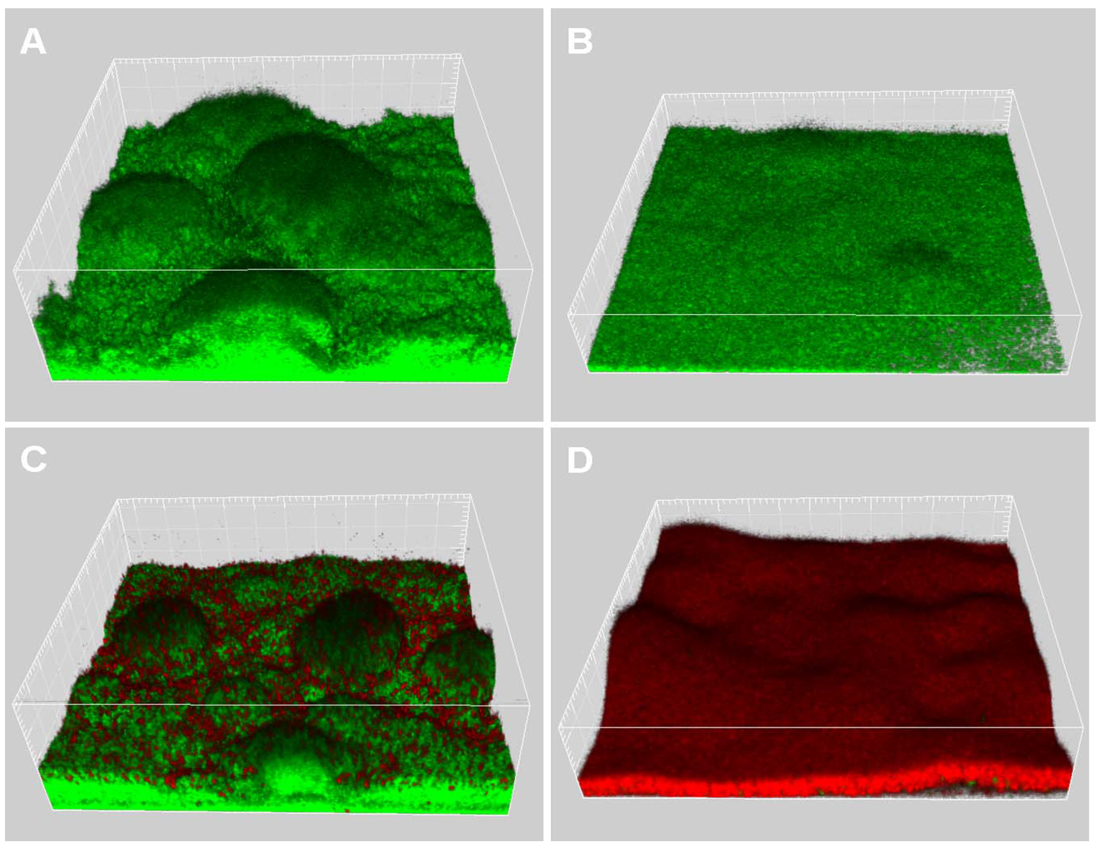 Molecules 15 00780 g006