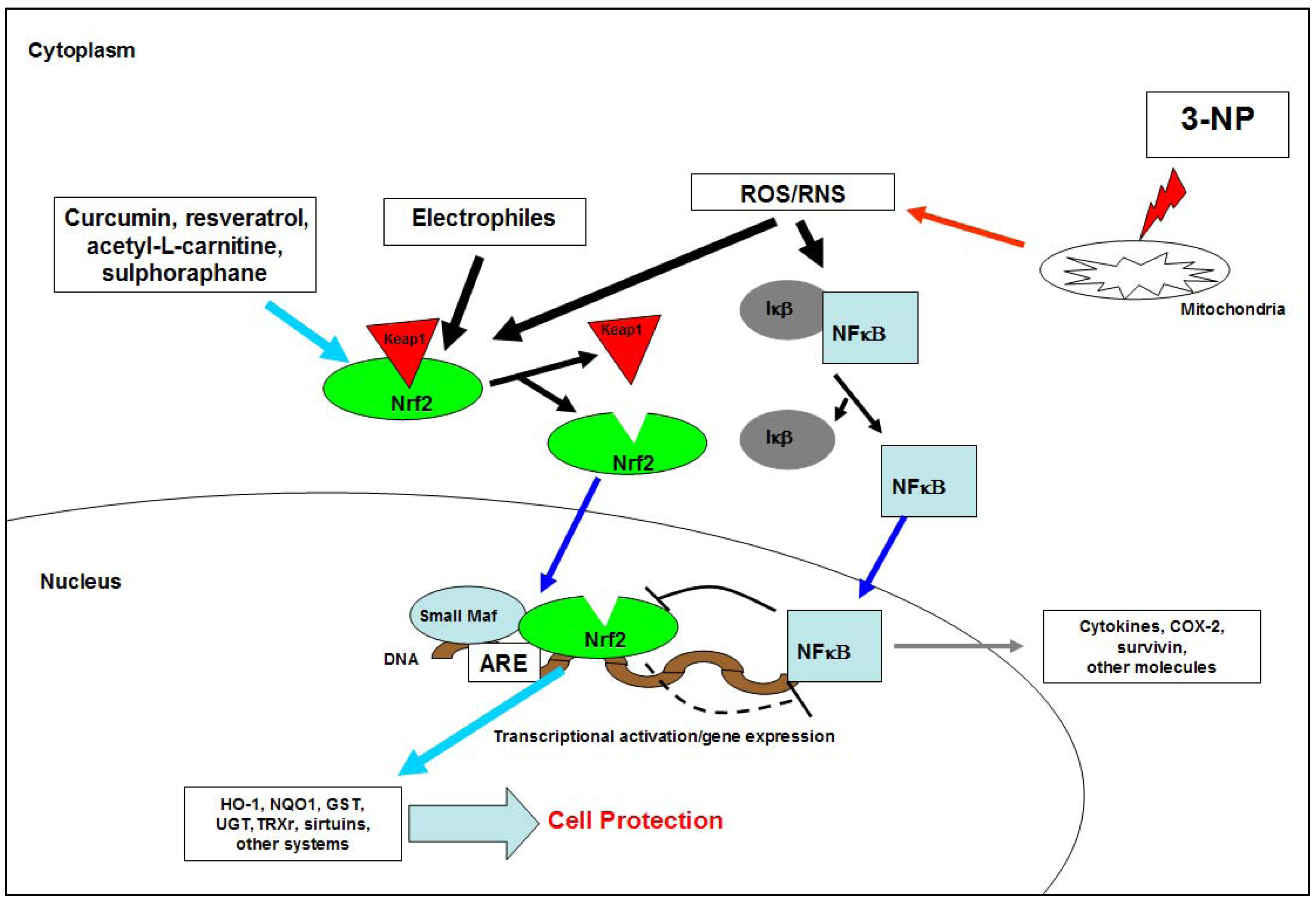 Molecules 15 00878 g003