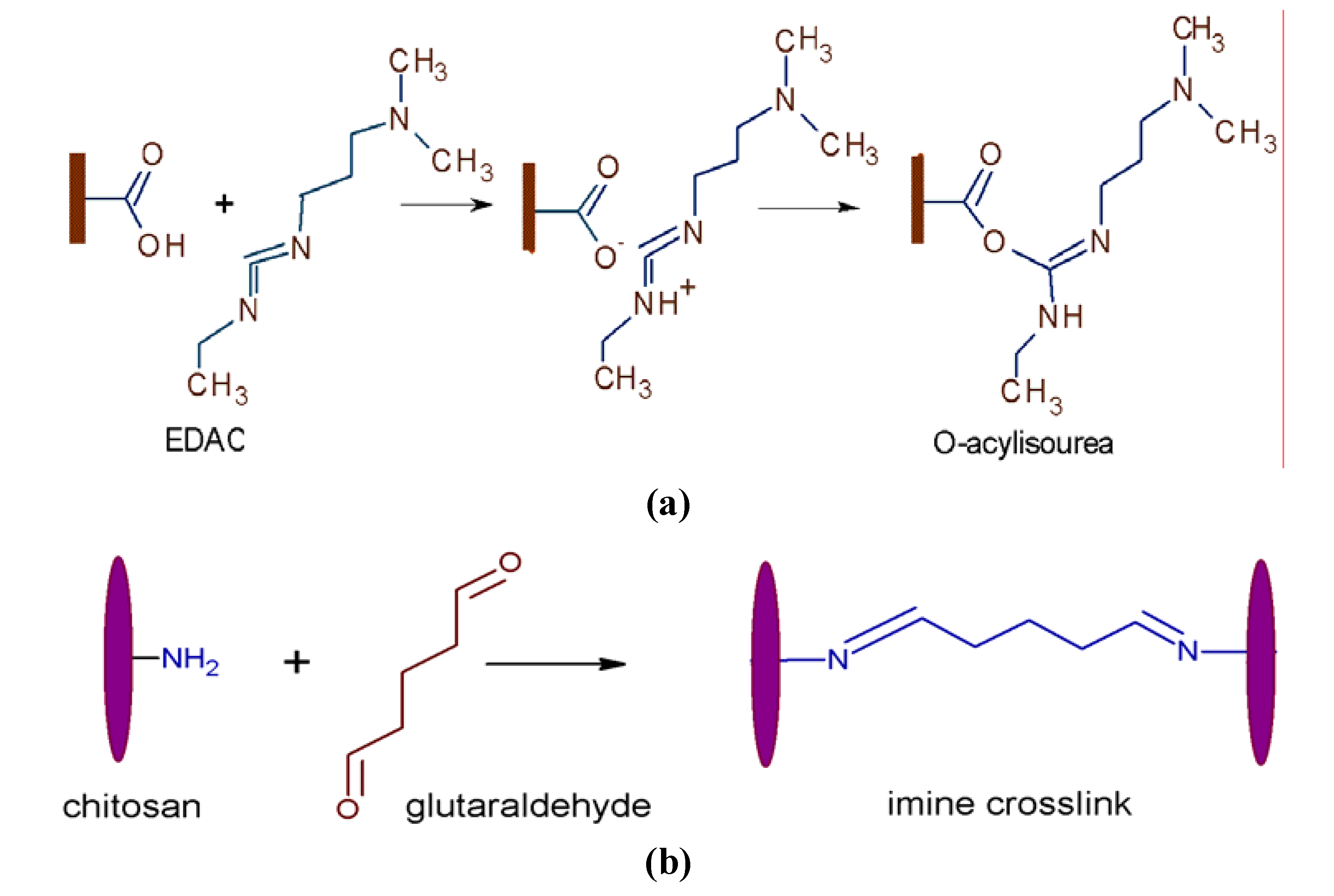 Molecules 15 01007 g009