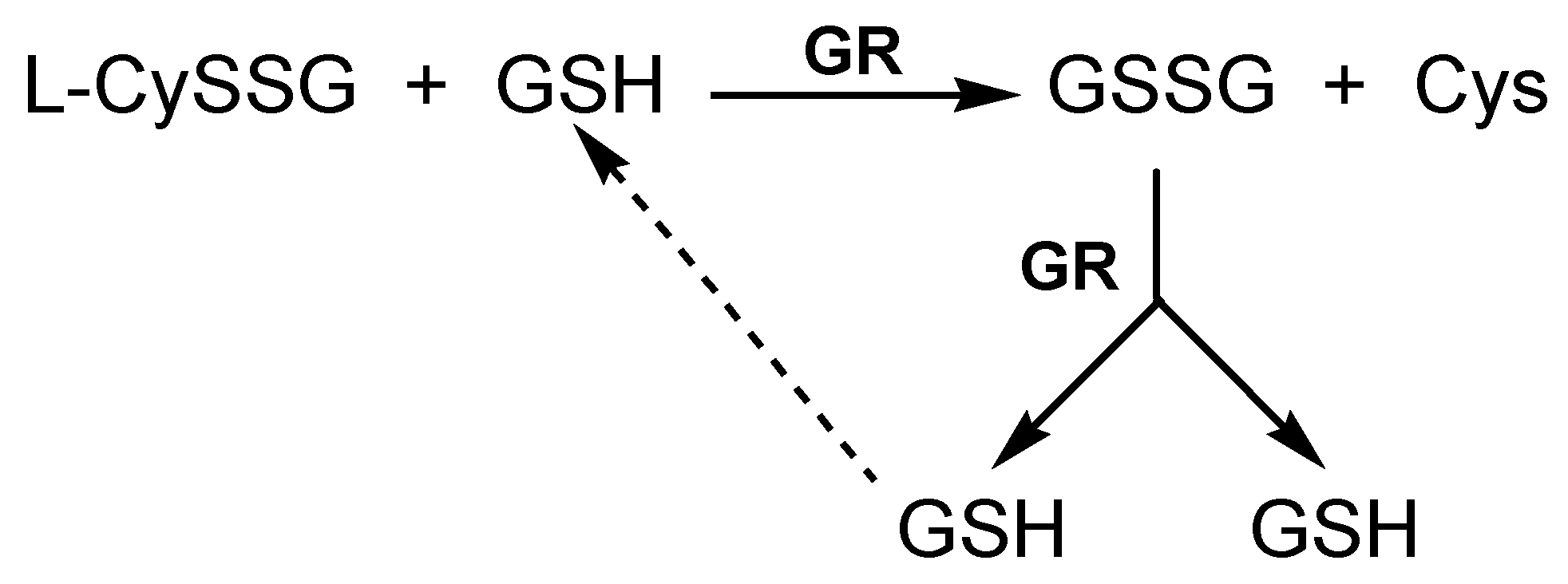 Molecules 15 01242 g006