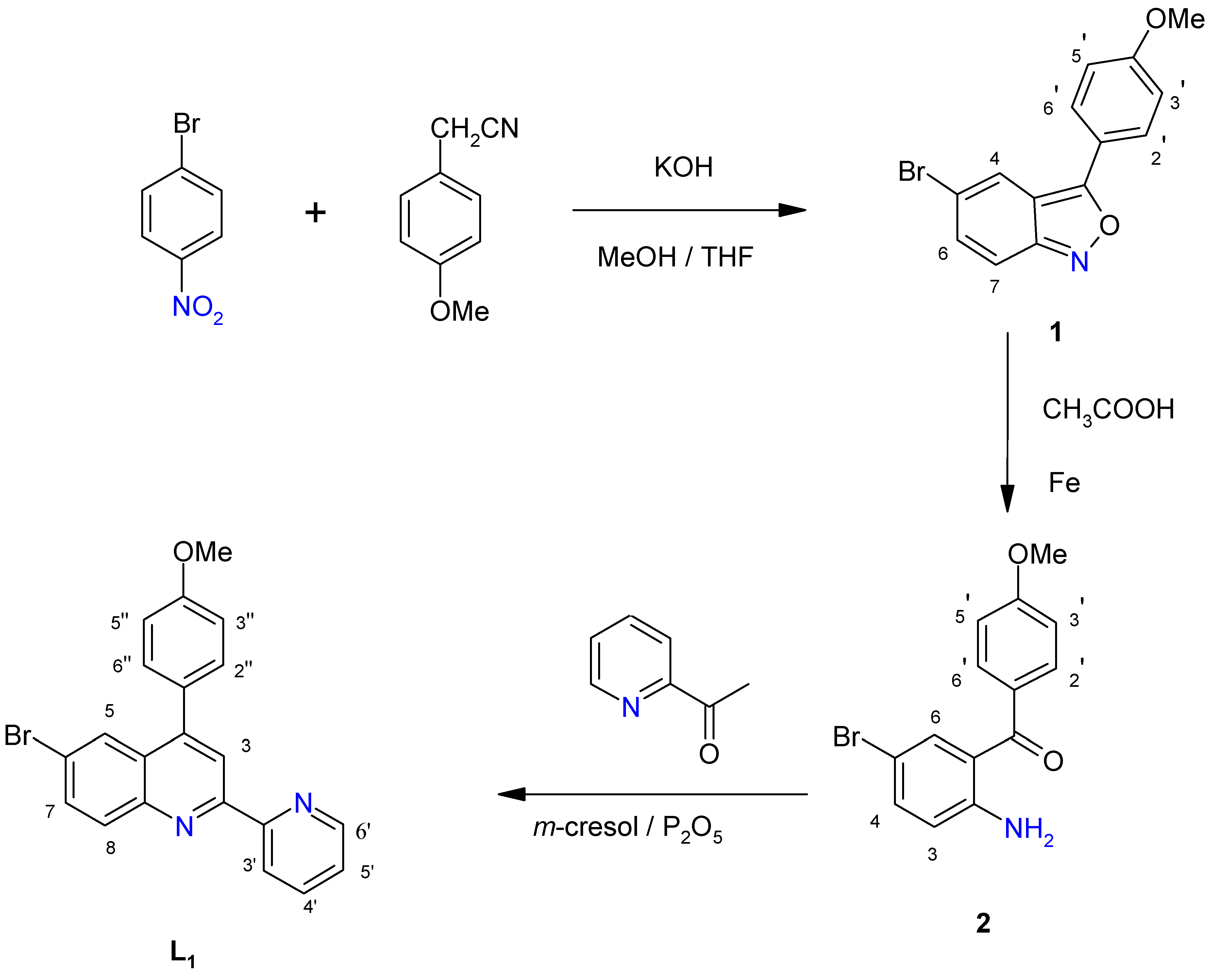 Molecules 15 01324 sch002 Molecules 15 01324 sch002