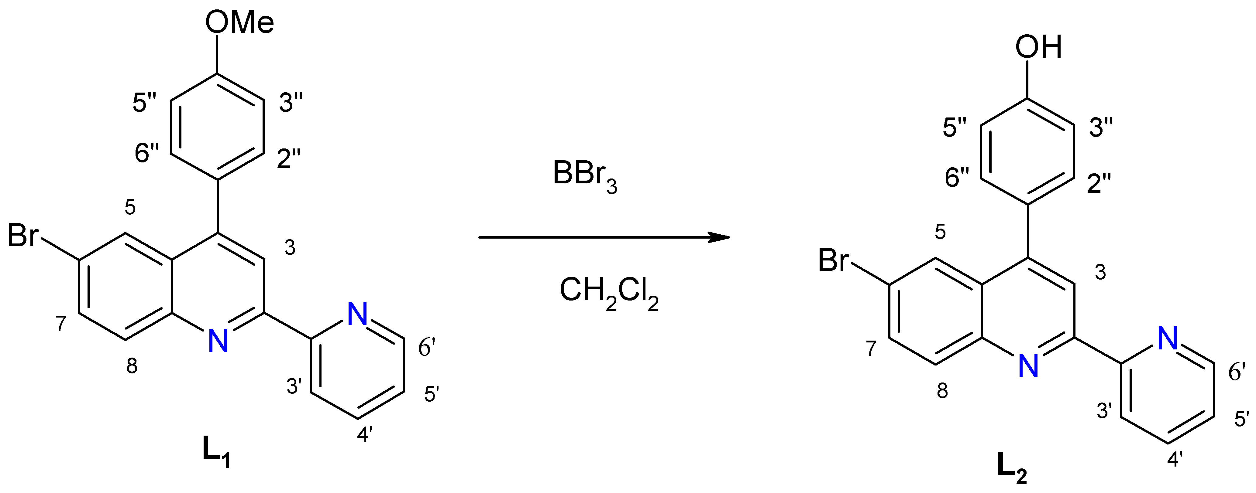 Molecules 15 01324 sch003 Molecules 15 01324 sch003