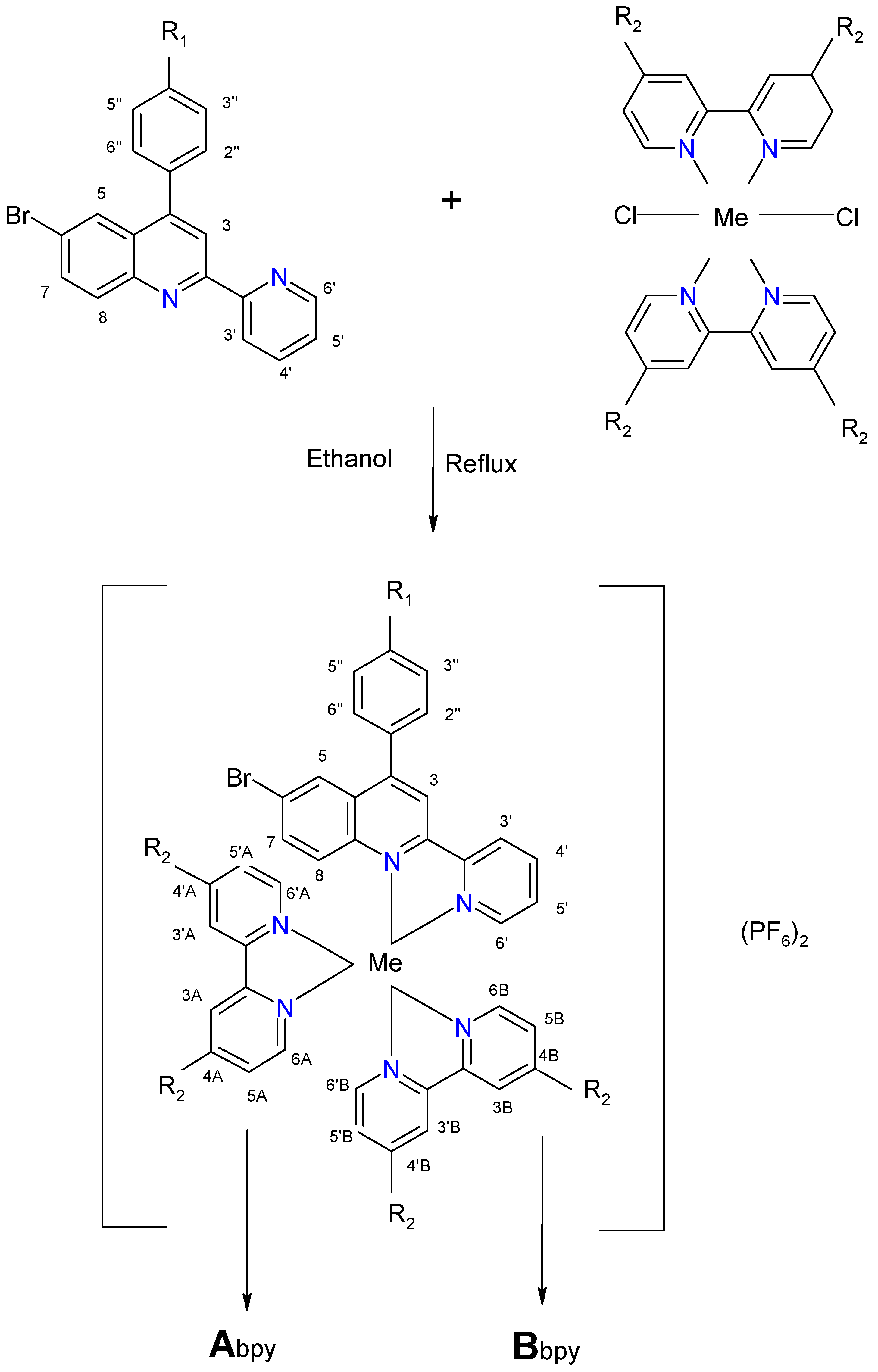 Molecules 15 01324 sch004 Molecules 15 01324 sch004