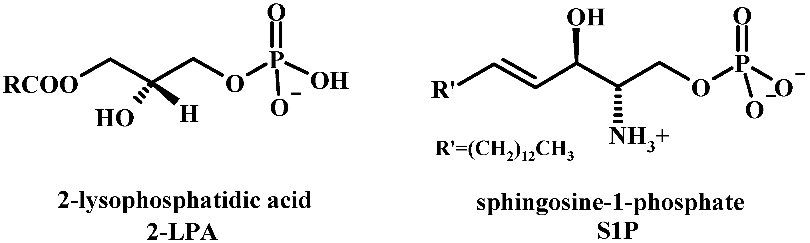 Molecules 15 01354 g003