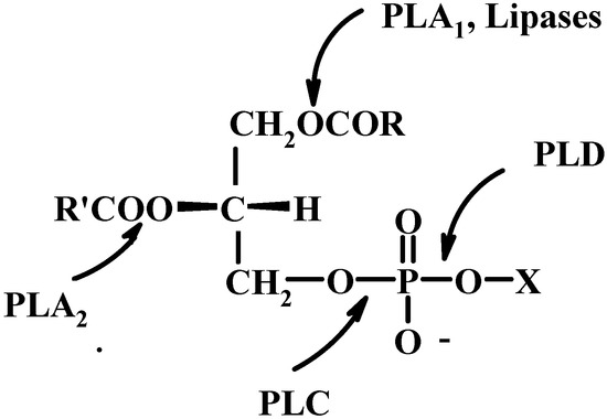 Molecules 15 01354 g012 550