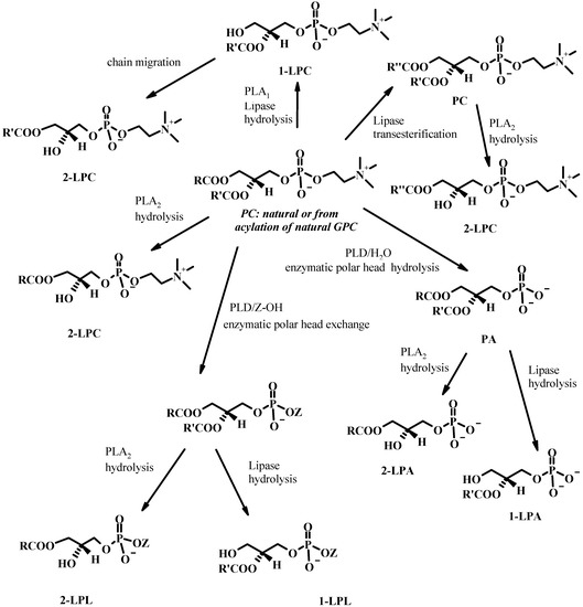 Molecules 15 01354 g013 550