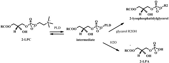 Molecules 15 01354 g015 550