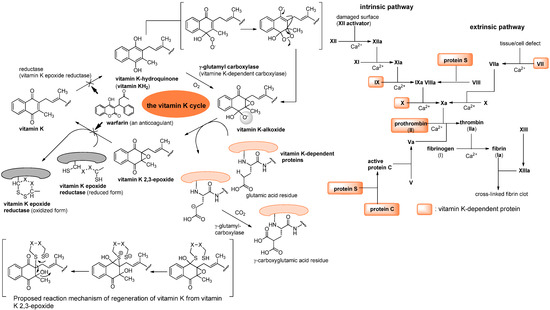 Molecules 15 01531 g002 550