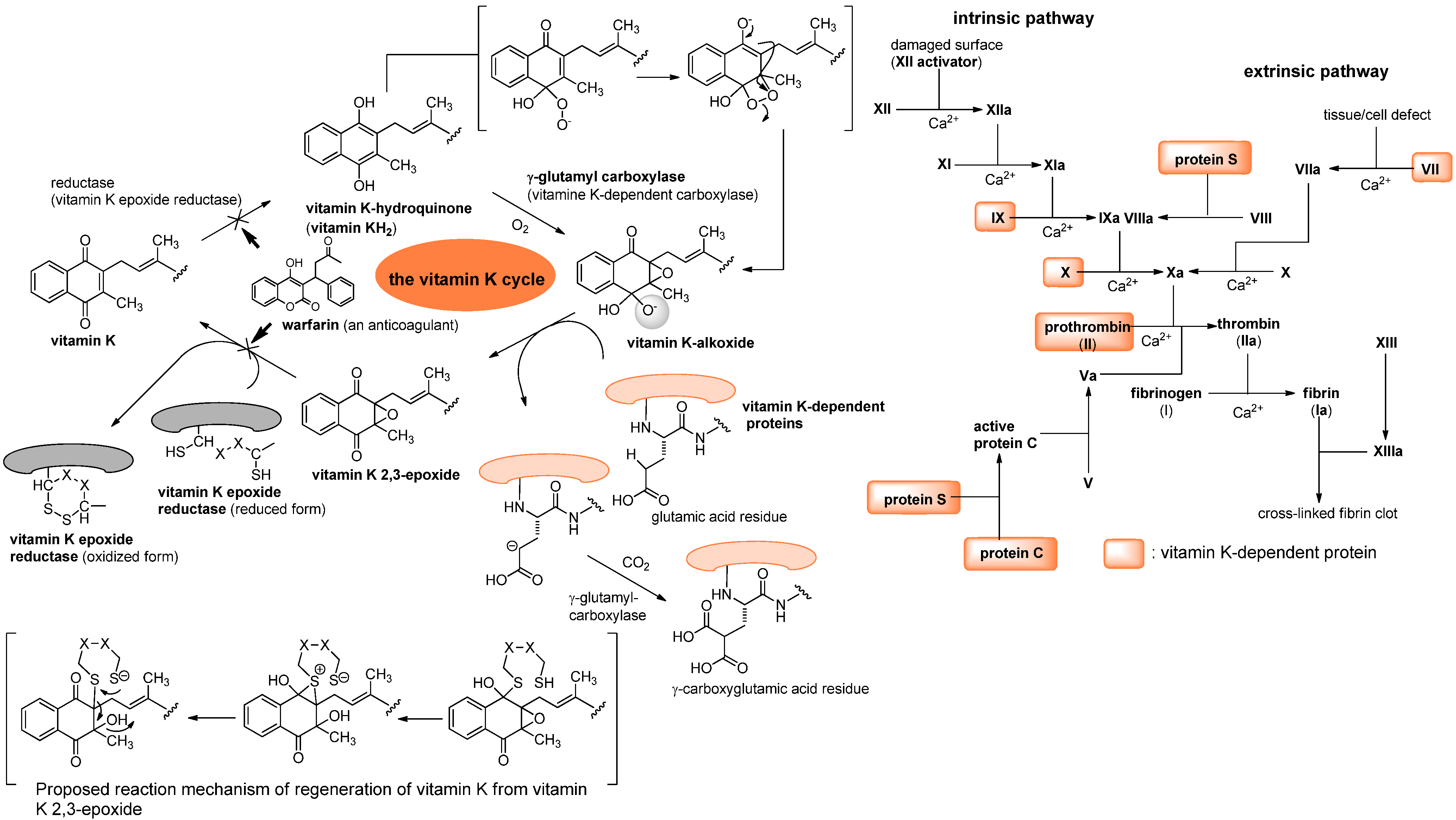 Molecules 15 01531 g002