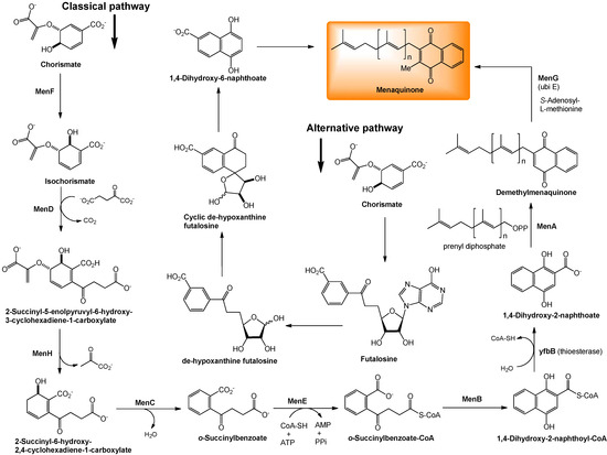 Molecules 15 01531 g004 550