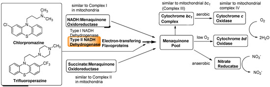 Molecules 15 01531 g006 550