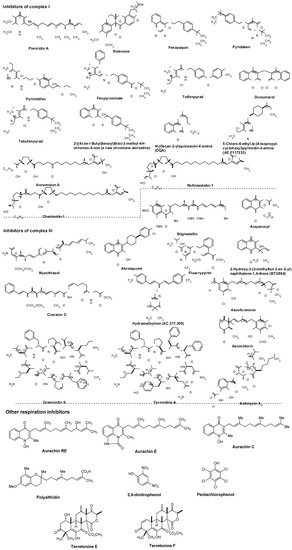 Molecules 15 01531 g007 550