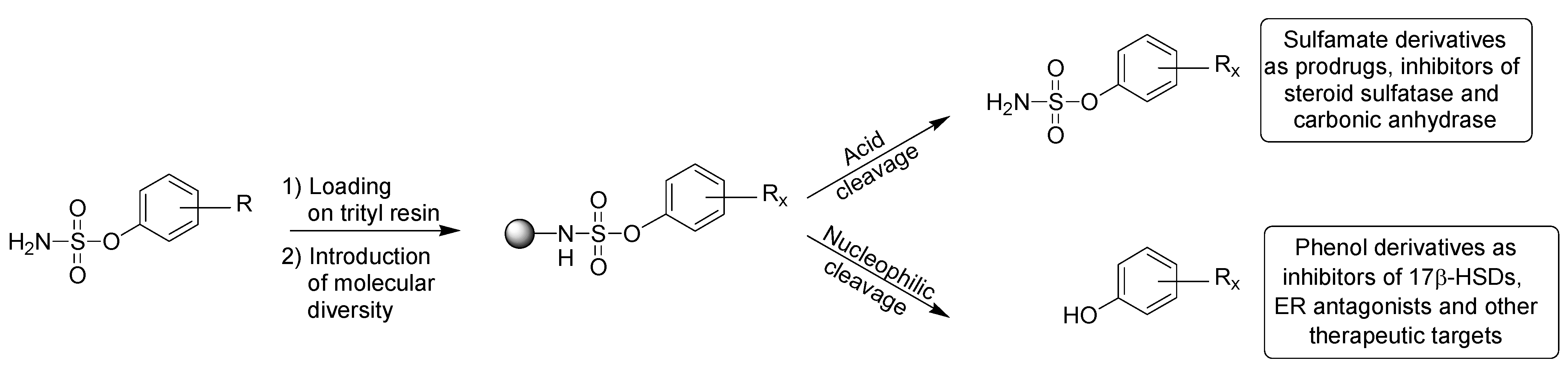 Molecules 15 01590 g003