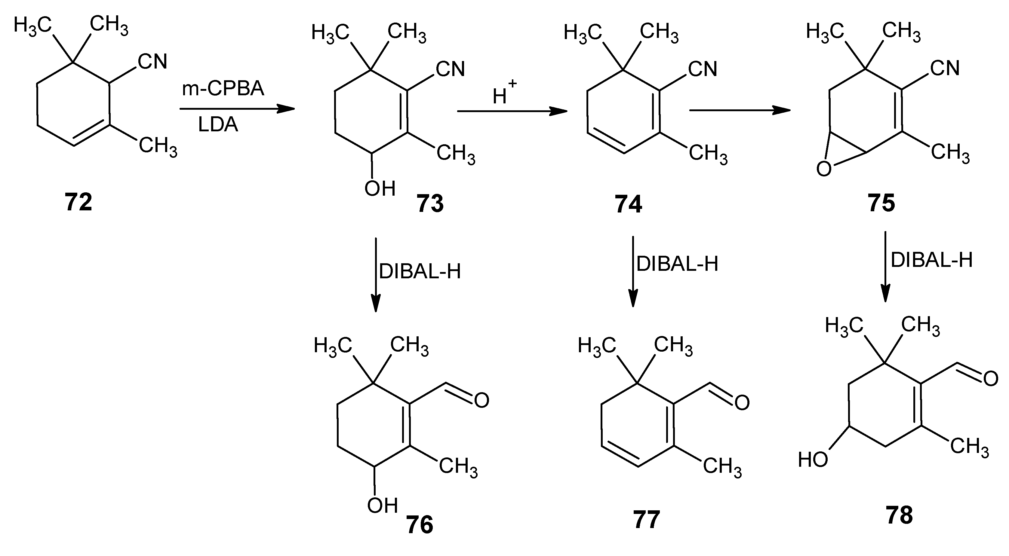 Molecules 15 01825 g019