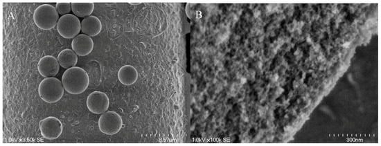 Molecules 15 01932 g002 550
