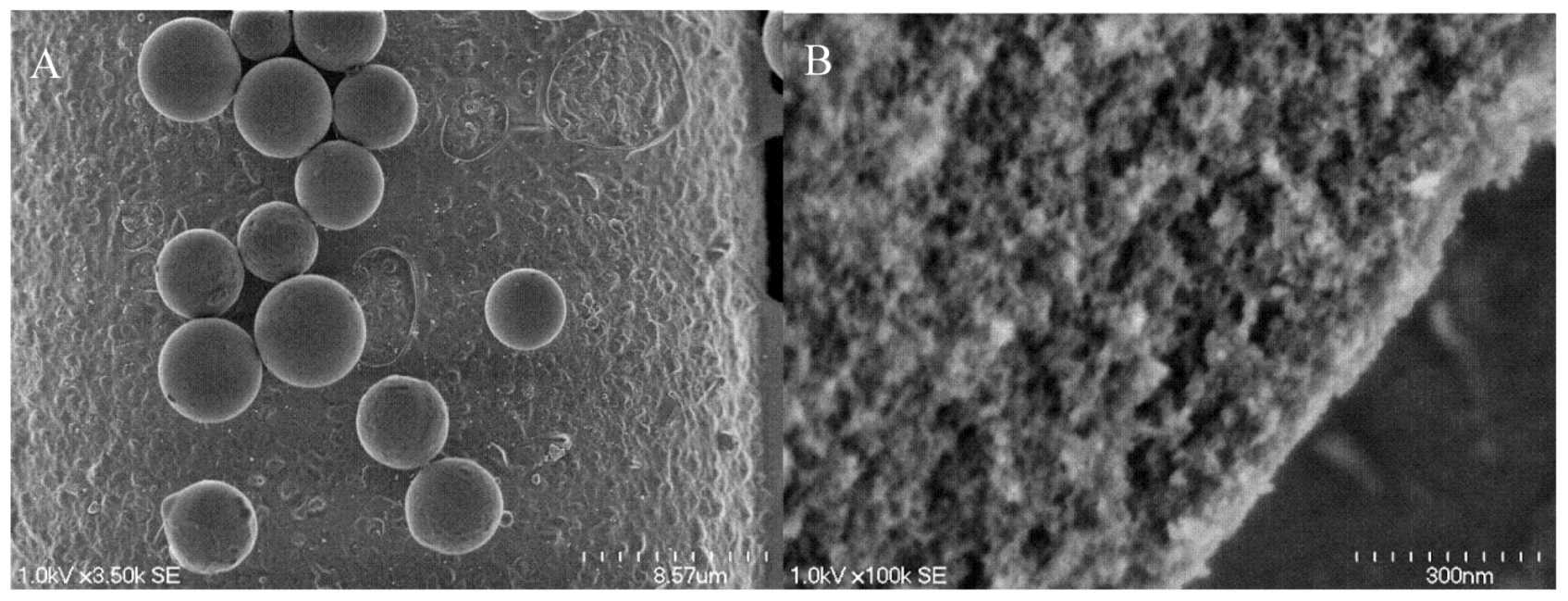 Molecules 15 01932 g002