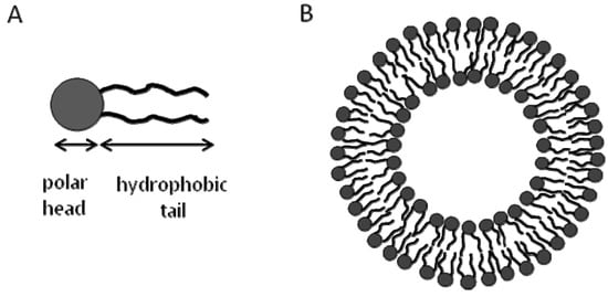 Molecules 15 01932 g003 550