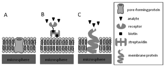 Molecules 15 01932 g006 550