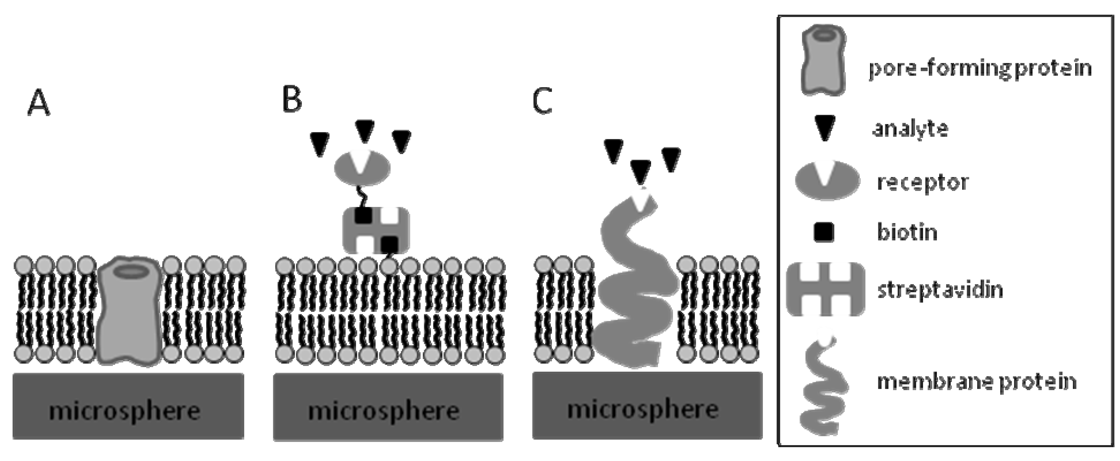 Molecules 15 01932 g006
